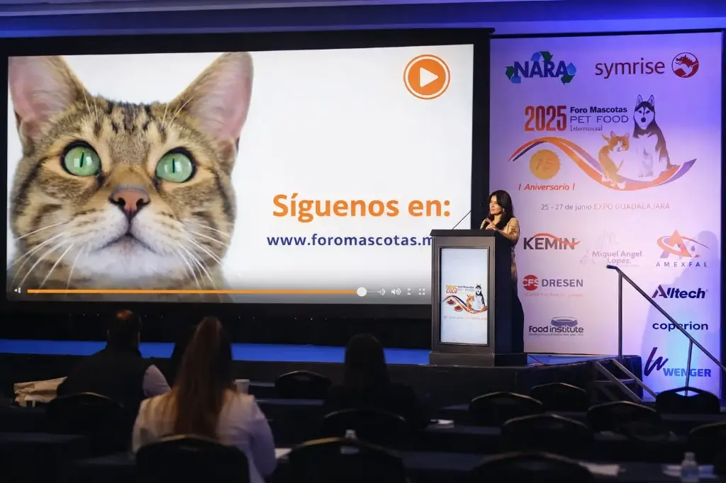 Vídeo promocional entre conferências