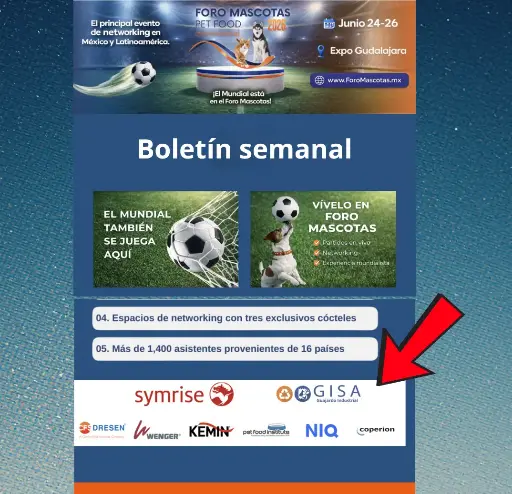 [FM26-XX04] Branding in official forum newsletter