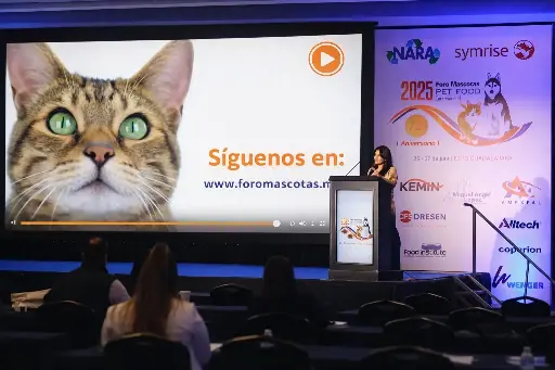 [FM26-XX13] Vídeo promocional entre conferências